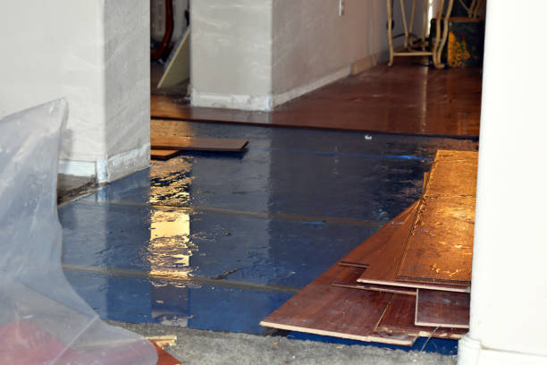 Professional Flood Damage Restoration technician working in Washingtonville, OH